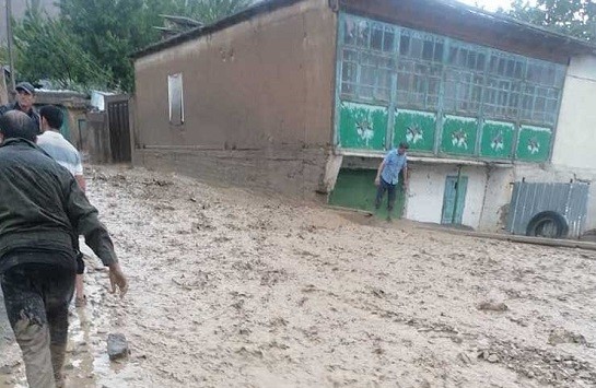 В джамоате Урметан Айнинского района из-за селей пострадало 161 хозяйство
