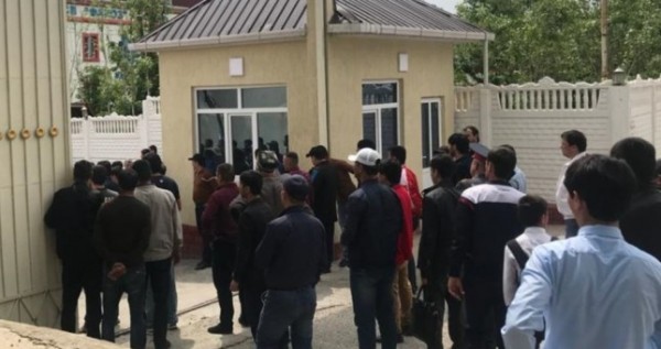 В Таджикистане сборщиков ферулы наказали за акцию протеста у офиса компании «Фароз»