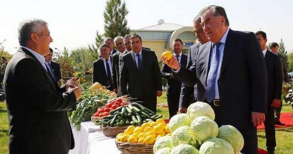 Лидер нации в Бободжон Гафуровском районе посетил Национальный парк «Вахдат», возвёл новый виноградник и суперинтенсивный сад
