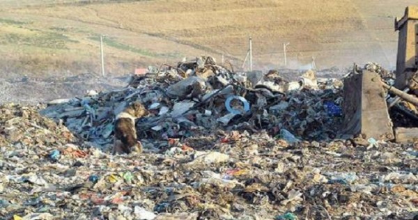 В Таджикистане начали поиски выбросившей младенца на свалку матери