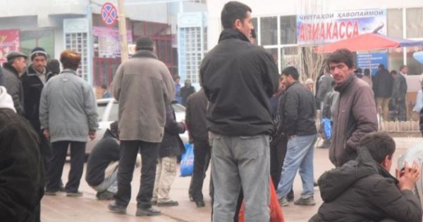Сколько в Таджикистане безработной молодежи?
