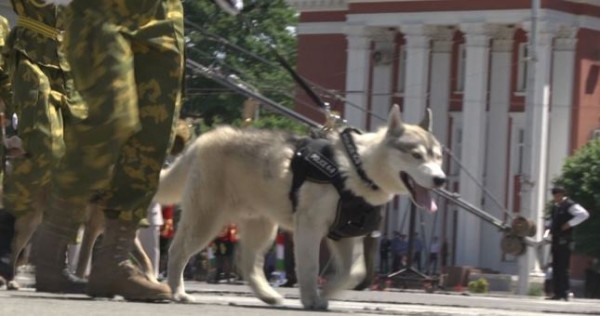 В Душанбе усилены меры безопасности.