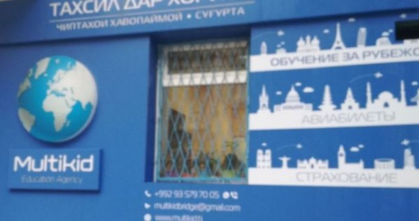 «Мультикид» лишили лицензии на отправку на учебу за рубеж