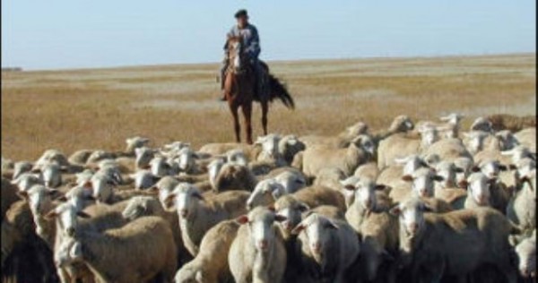 Таджикистан: Где пасти скот, или Не пора ли приватизировать холмы и луга?