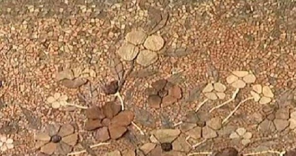 Художник из Таджикистана создает картины из коры