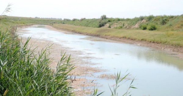 Узбекистан вошел в список стран с высоким дефицитом воды