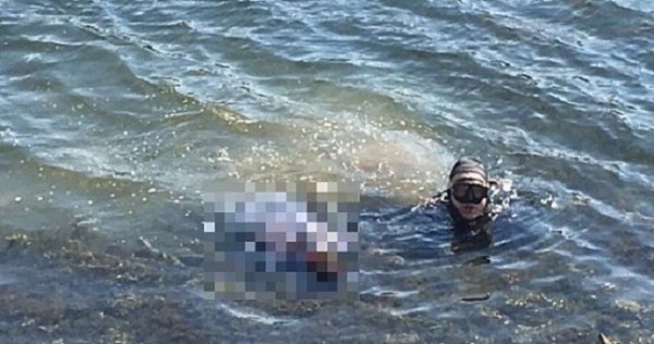 В Саратове спасатели нашли тело упавшего с гидроцикла гражданина Таджикистана