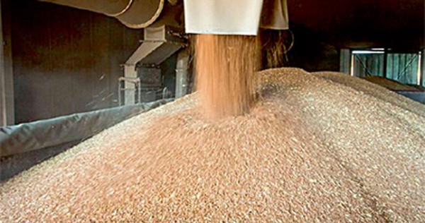 По зерновому коридору можно будет перевозить только сельхозпродукцию
