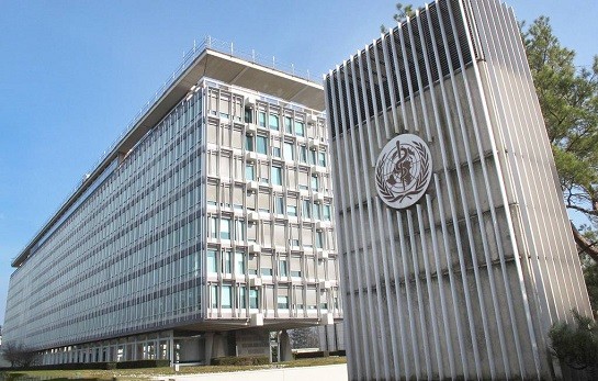 ВОЗ подтвердила около 80 случаев оспы обезьян