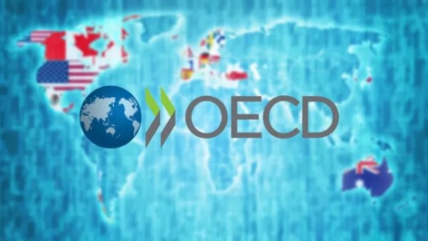 Турция поддержала переговоры о вступлении в ОЭСР 6 стран