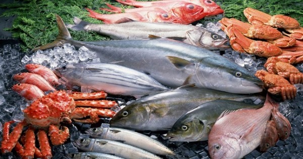 Китайская продукция водного промысла изучает потенциал рынка Казахстана