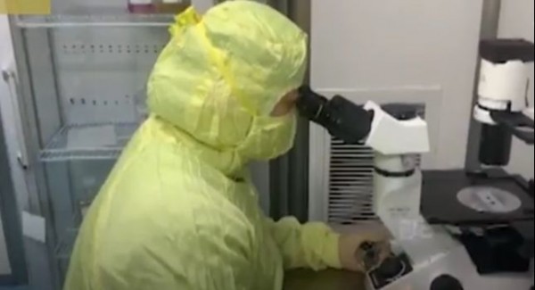 62 страны потребовали независимого расследования причин вспышки коронавируса