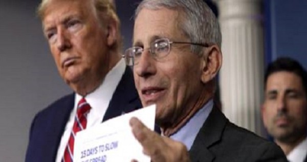 Лекарство найдено! Главный инфекционист США заявил, что экспериментальный препарат Gilead станет стандартом лечения коронавируса