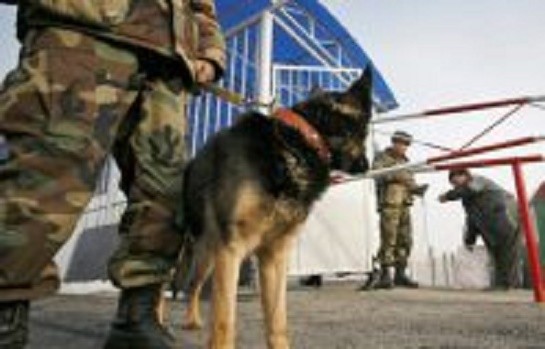 Два подростка пытались попасть из Кыргызстана в Таджикистан без документов