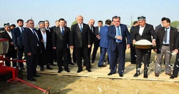Эмомали Рахмон дал старт севу хлопчатника в Согде
