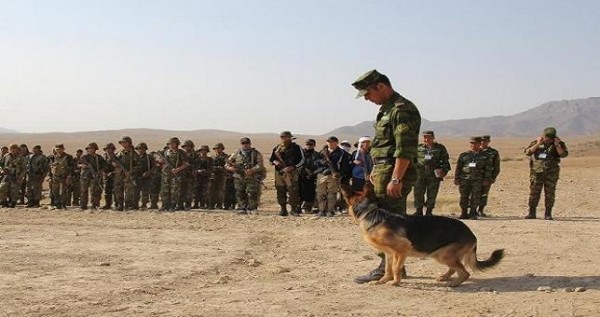 Кыргызстан и Таджикистан улучшают приграничное сотрудничество