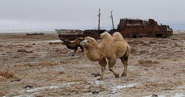 Конец ледникового периода