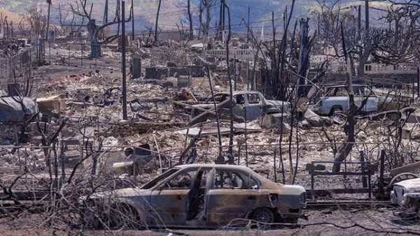 Более 1000 человек пропали без вести в результате пожаров на Мауи
