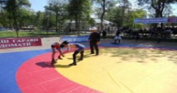 Чемпионат выявил проблемы развития вольной борьбы на юге Таджикистана