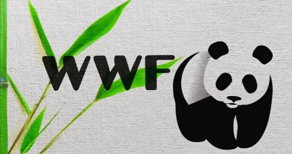 WWF: в мире стало на 60% меньше животных за последние 40 лет из-за деятельности людей