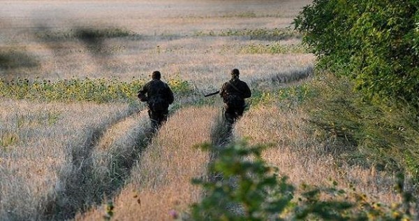 17 украинских военных сложили оружие и перешли на территорию РФ