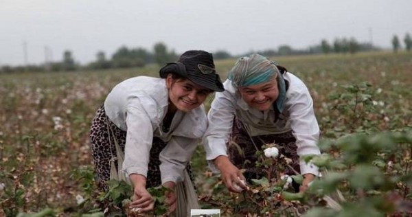 Всемирный банк должен прекратить финансирование проектов в Узбекистане