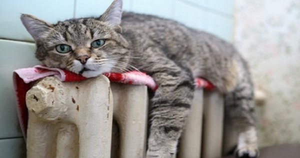 В Таджикистане хотят наладить производство кремния «солнечного качества»